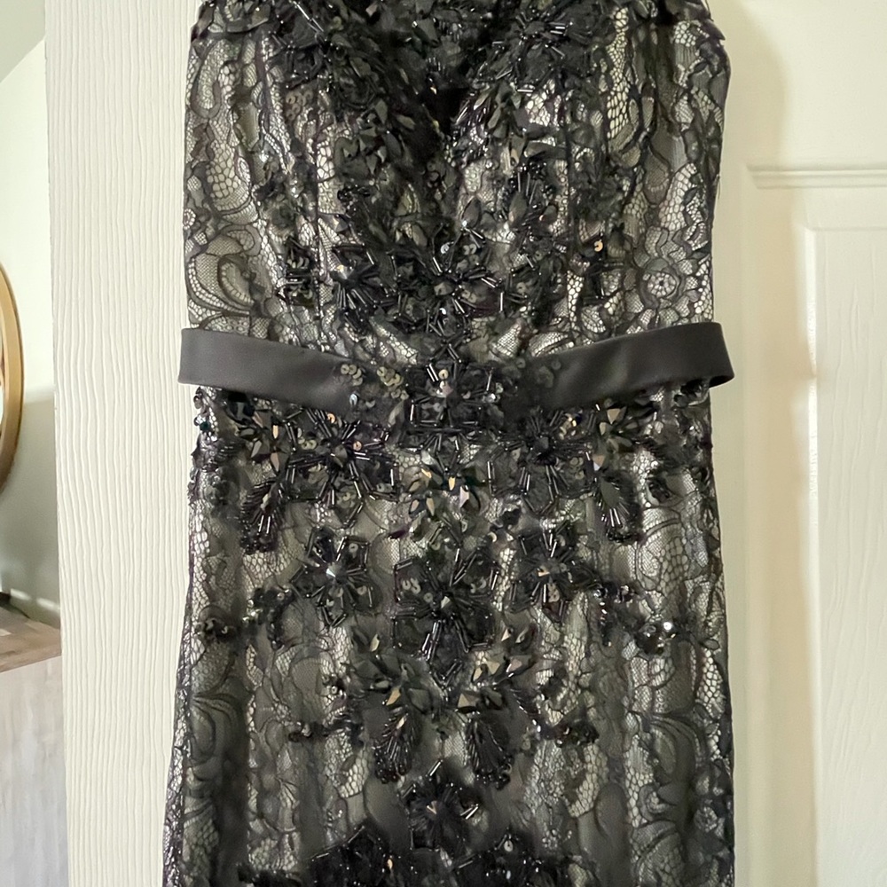 Beautiful Gown - Picture 4 of 7